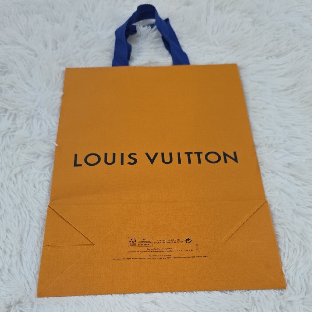 Authentic Louis Vuitton Used Paper Bag - Picture 2 of 9